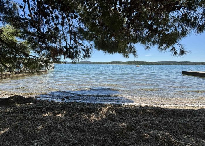 56692990-91be-44c7-9bc9-987b01b47b43